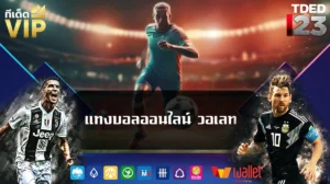 แทงบอลออนไลน์ วอเลท