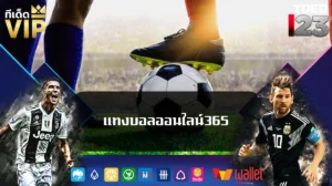 แทงบอลออนไลน์365