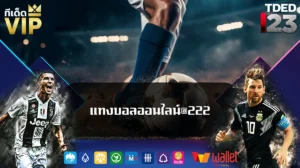 แทงบอลออนไลน์@222