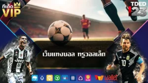 เว็บแทงบอล ทรูวอลเล็ต